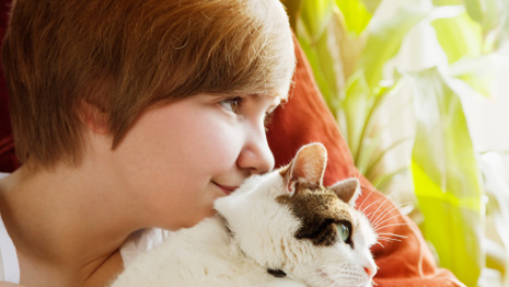 Pet Adoptions and Services